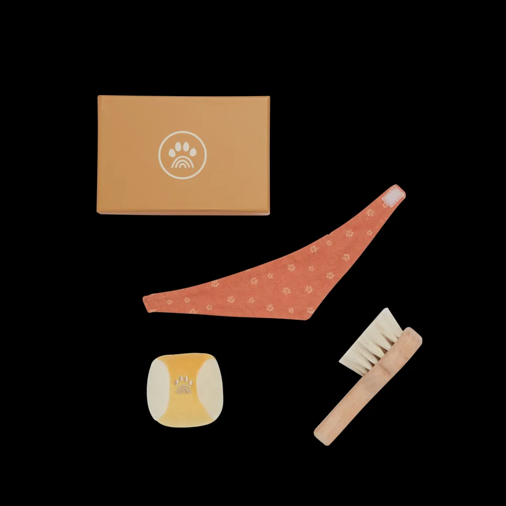 Olli Ella Indoor Play|Doll Accessories|Dinkum Dogs - Starter Set