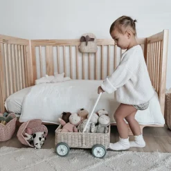 Olli Ella Indoor Play|On Wheels|Rattan Wamble Walker